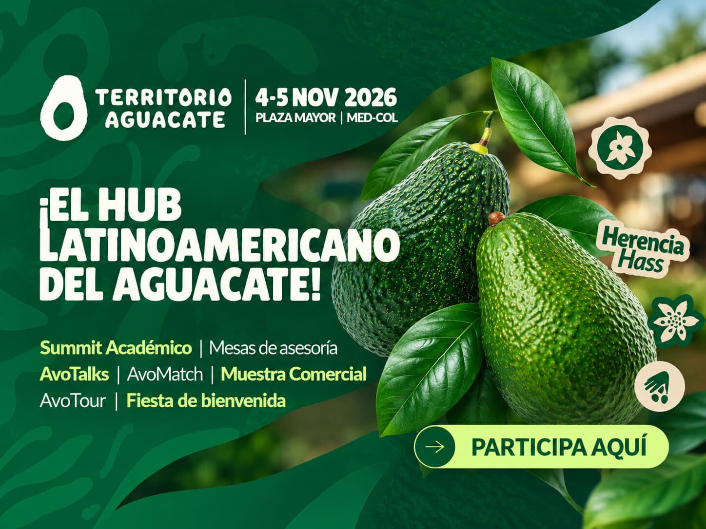 Territorio Aguacate 2026