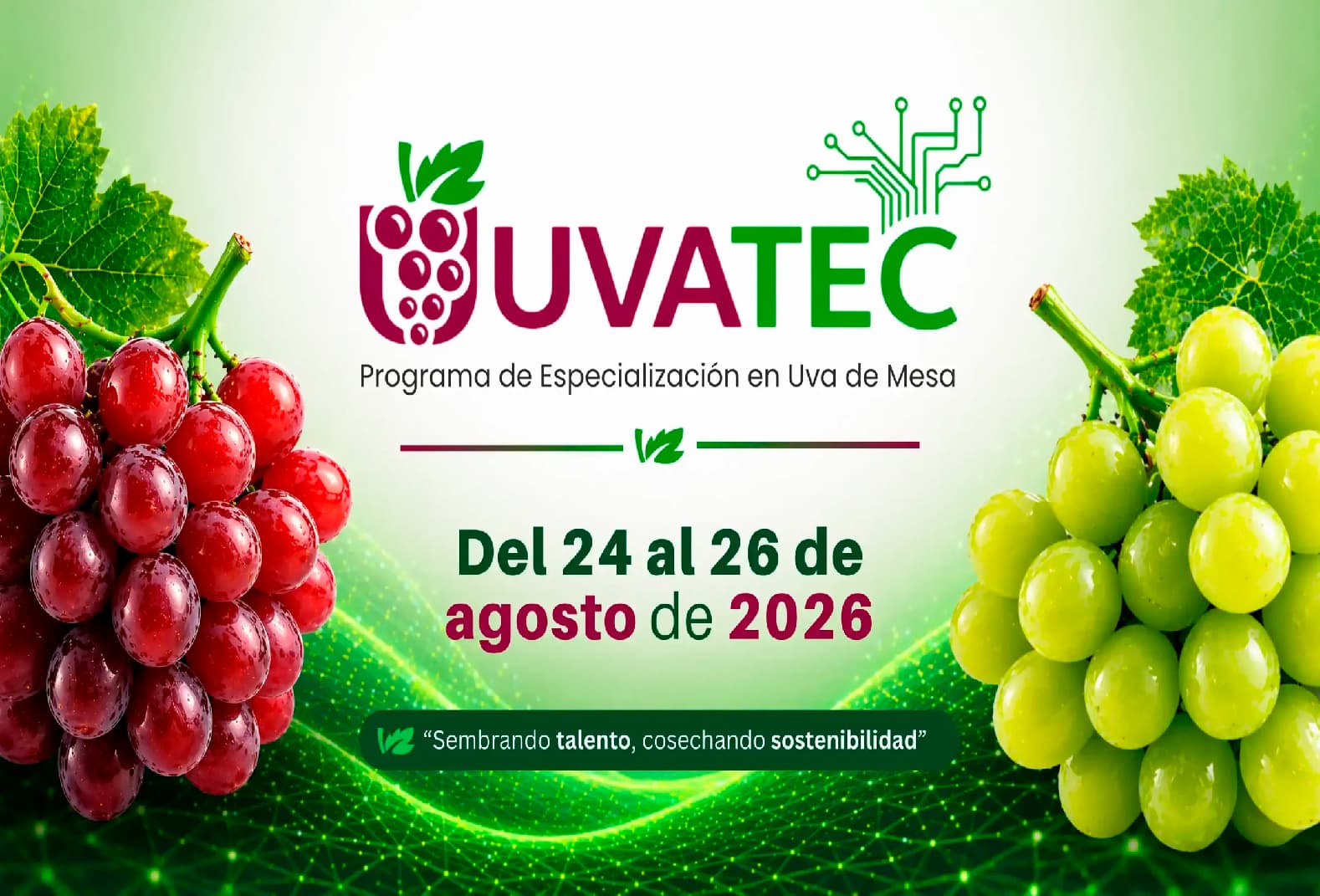 UVATEC 2026