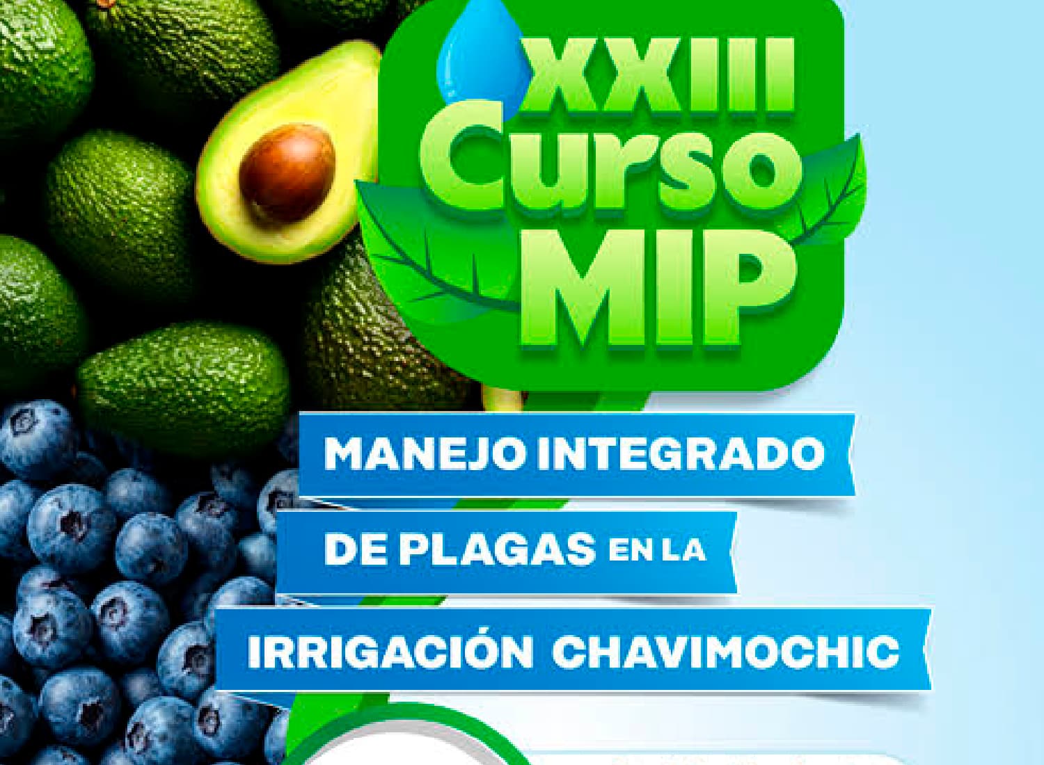 XXIV Curso MIP