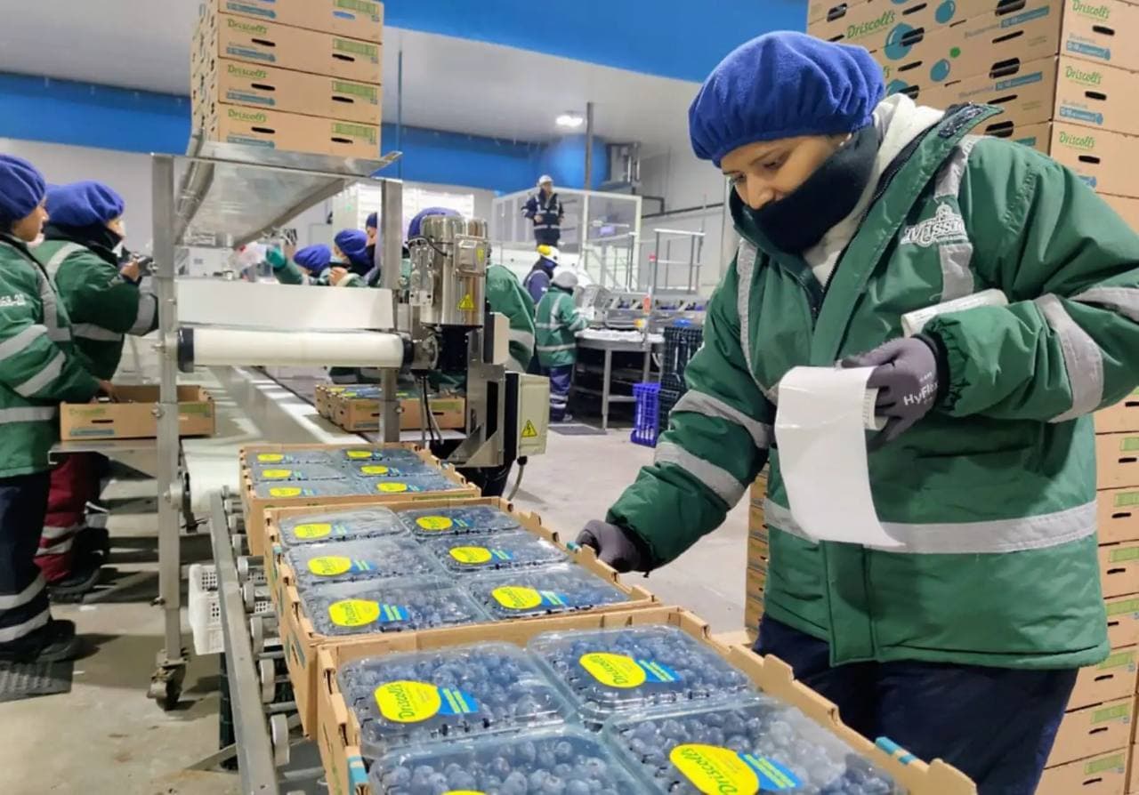 Empresas tecnológicas de Israel presentarán soluciones de riego inteligente y agricultura de precisión en Perú
