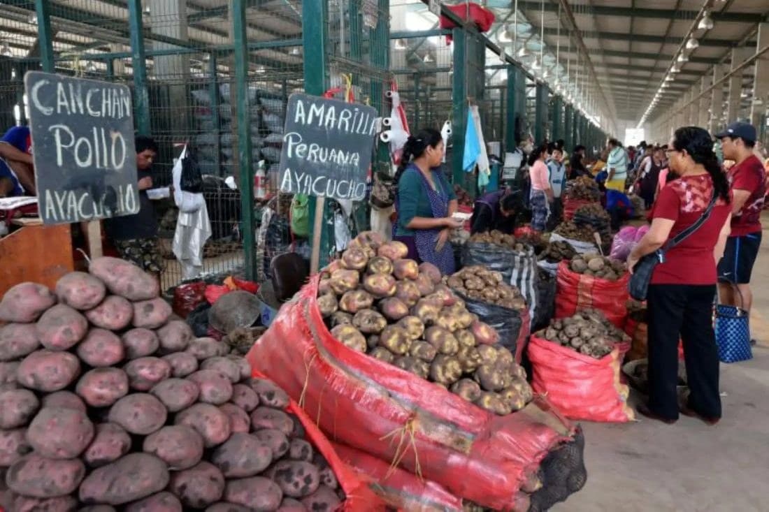 Mayor ingreso de frutas y verduras marca el abastecimiento de Lima