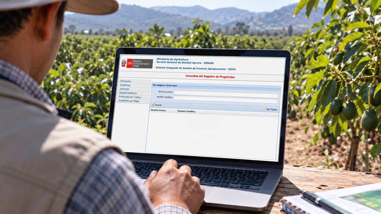 SIGIA: la herramienta del SENASA que permite consultar qué plaguicidas están registrados para cada cultivo